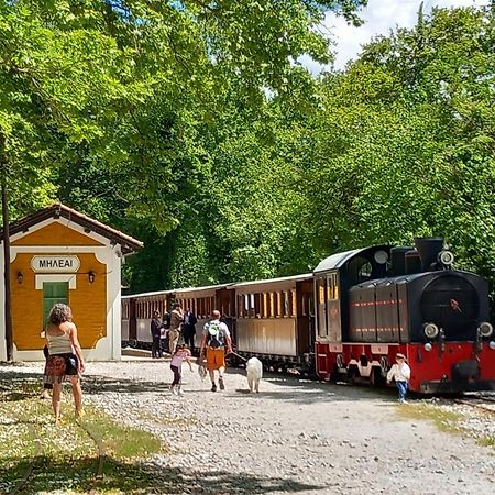 Milies Historic Chalet Pelion Miliész Kültér fotó