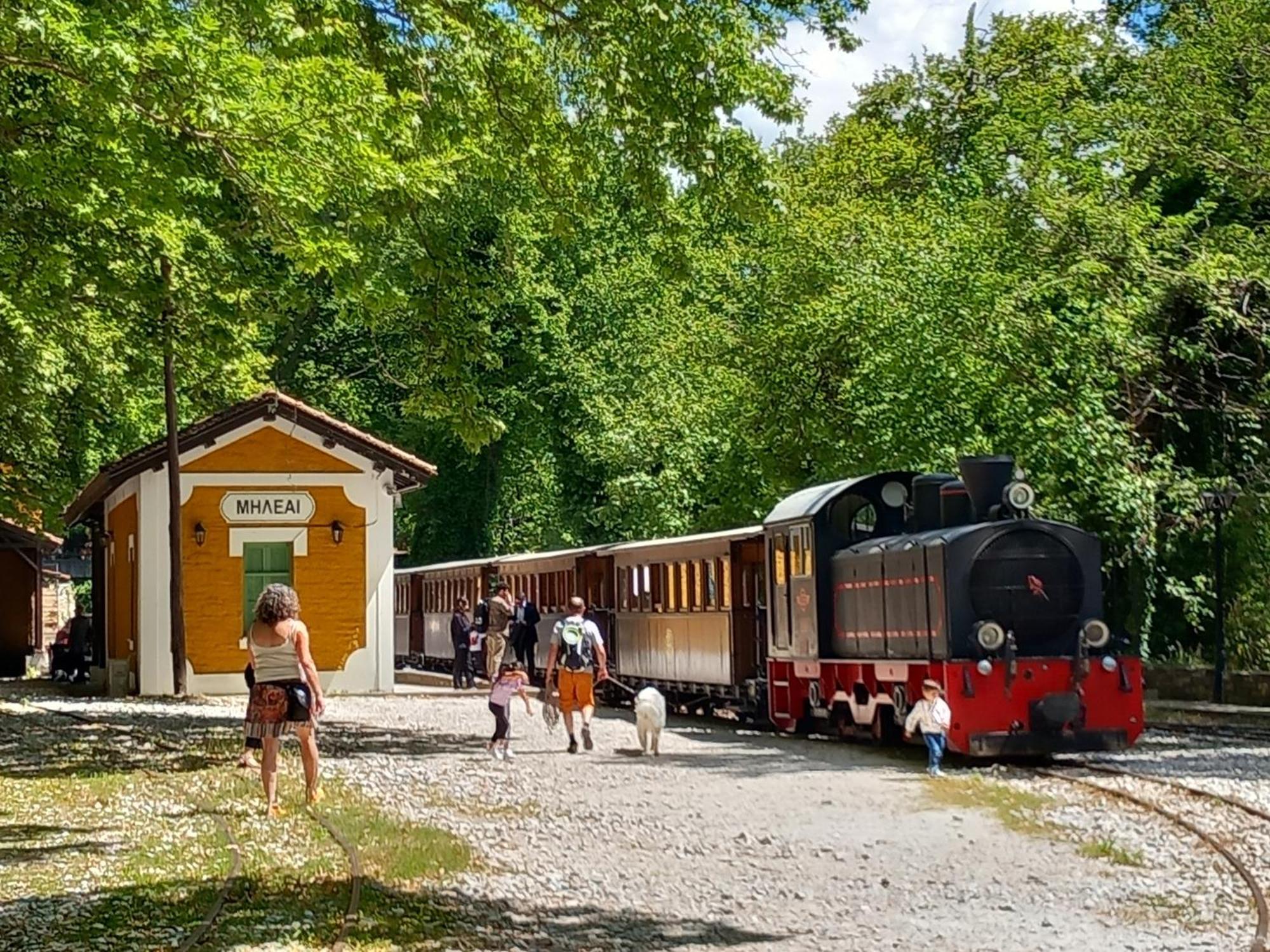 Milies Historic Chalet Pelion Miliész Kültér fotó