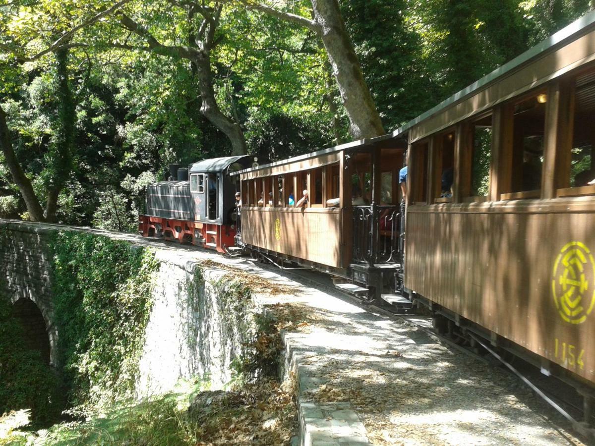 Milies Historic Chalet Pelion Miliész Kültér fotó